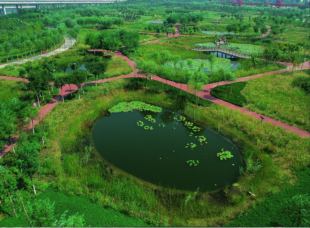 A pond surrounded by green vegetation, intersected by pedestrian walkways.